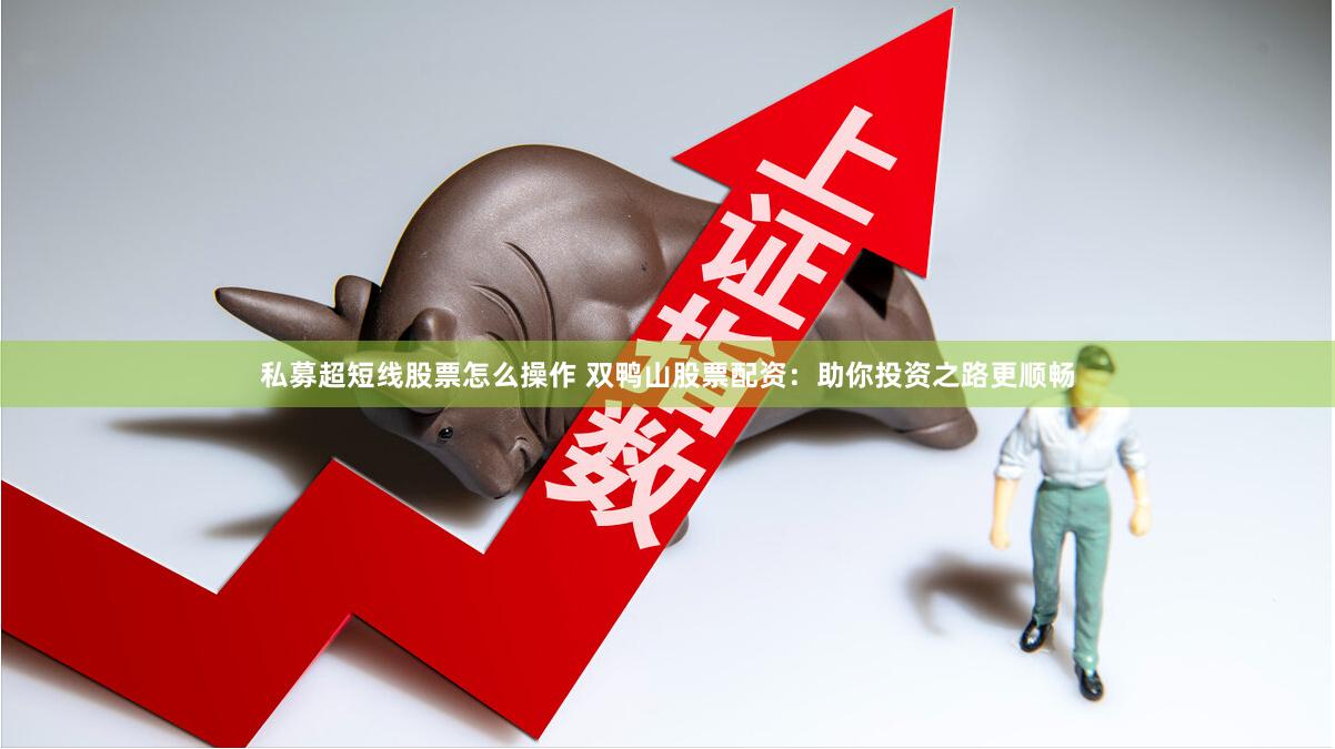 私募超短线股票怎么操作 双鸭山股票配资：助你投资之路更顺畅