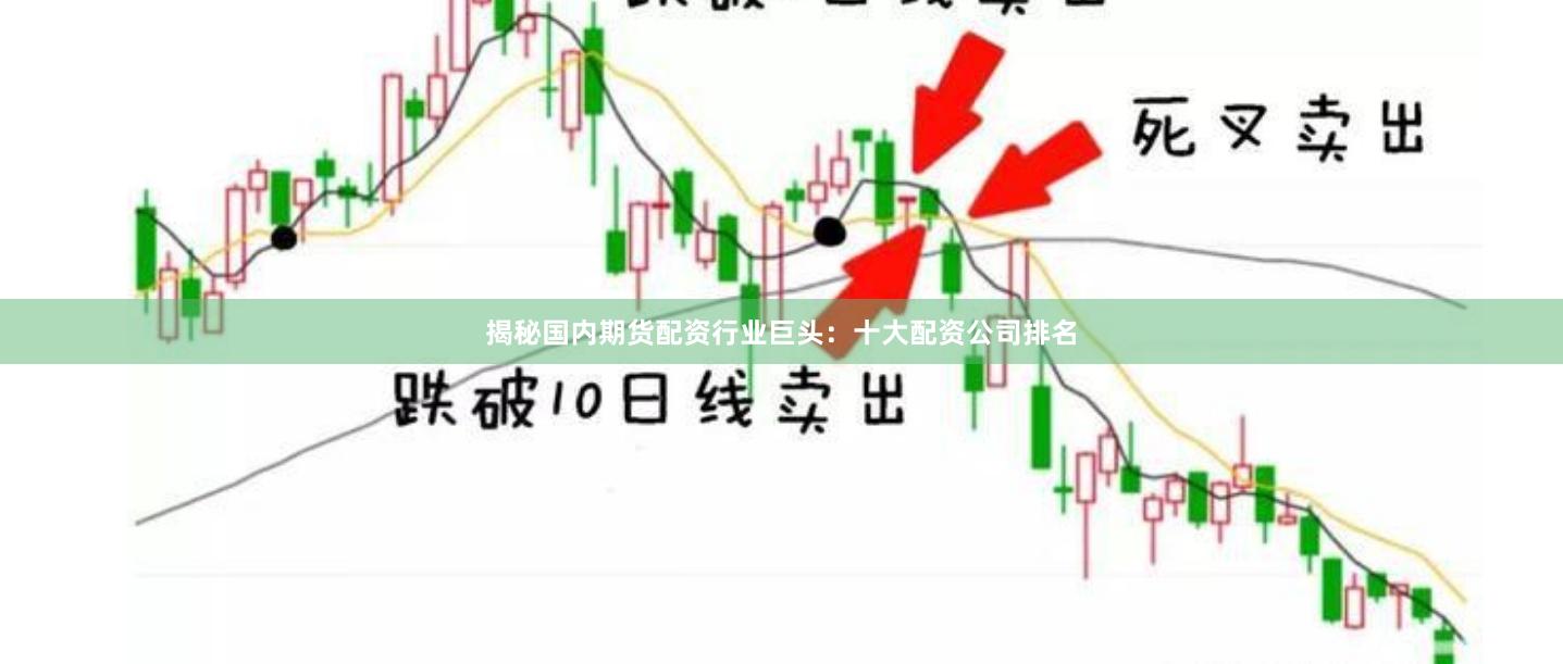 揭秘国内期货配资行业巨头：十大配资公司排名