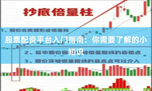 股票配资平台入门指南：你需要了解的小知识