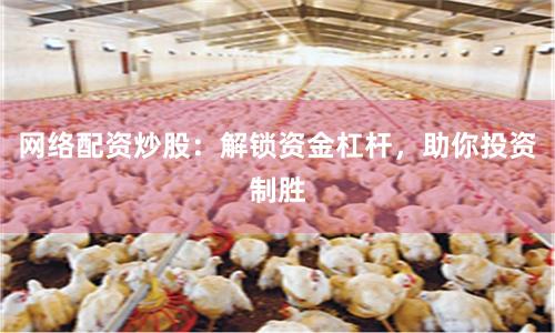 网络配资炒股：解锁资金杠杆，助你投资制胜