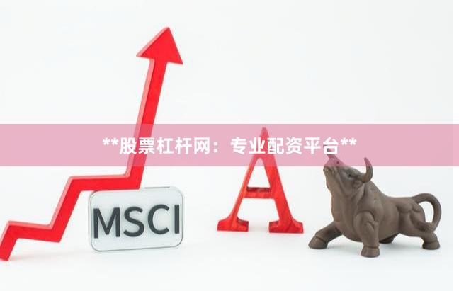 **股票杠杆网：专业配资平台**