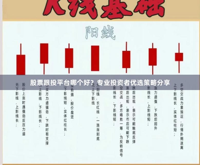 股票跟投平台哪个好？专业投资者优选策略分享